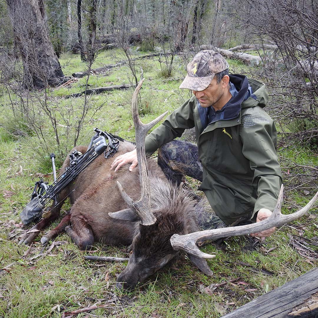 Two Days, Two Stags