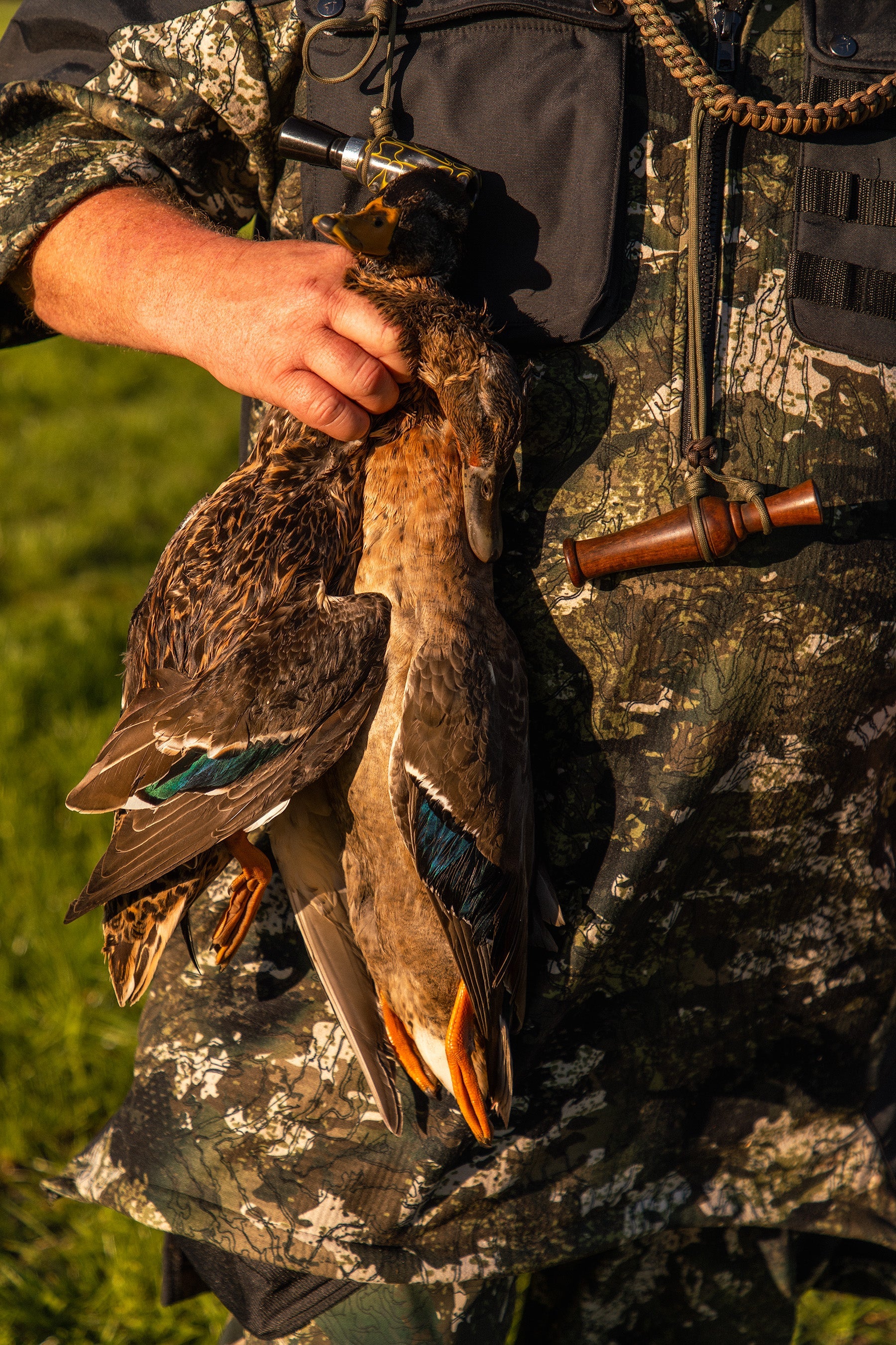 Duck Hunting Essentials