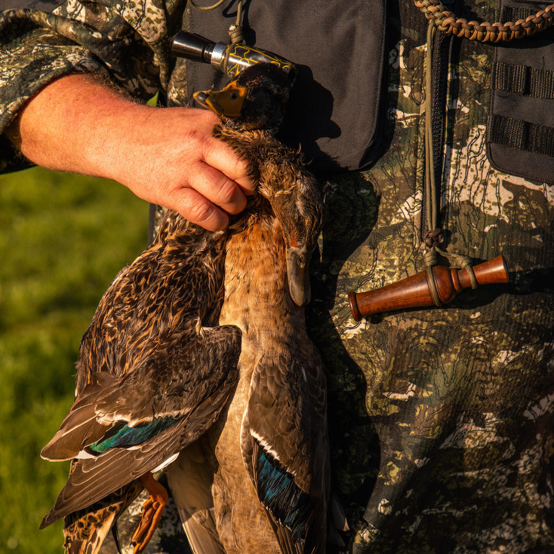 Duck Shooting